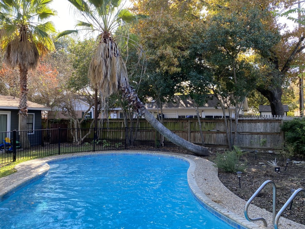 Curved backyard pool after service